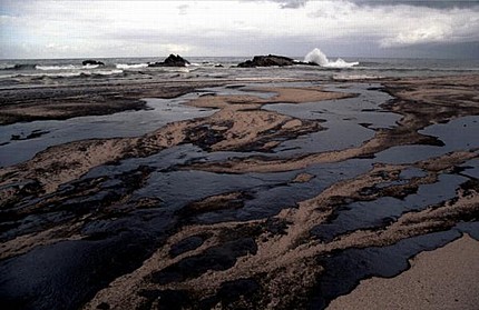 Hai mai visto il mare?